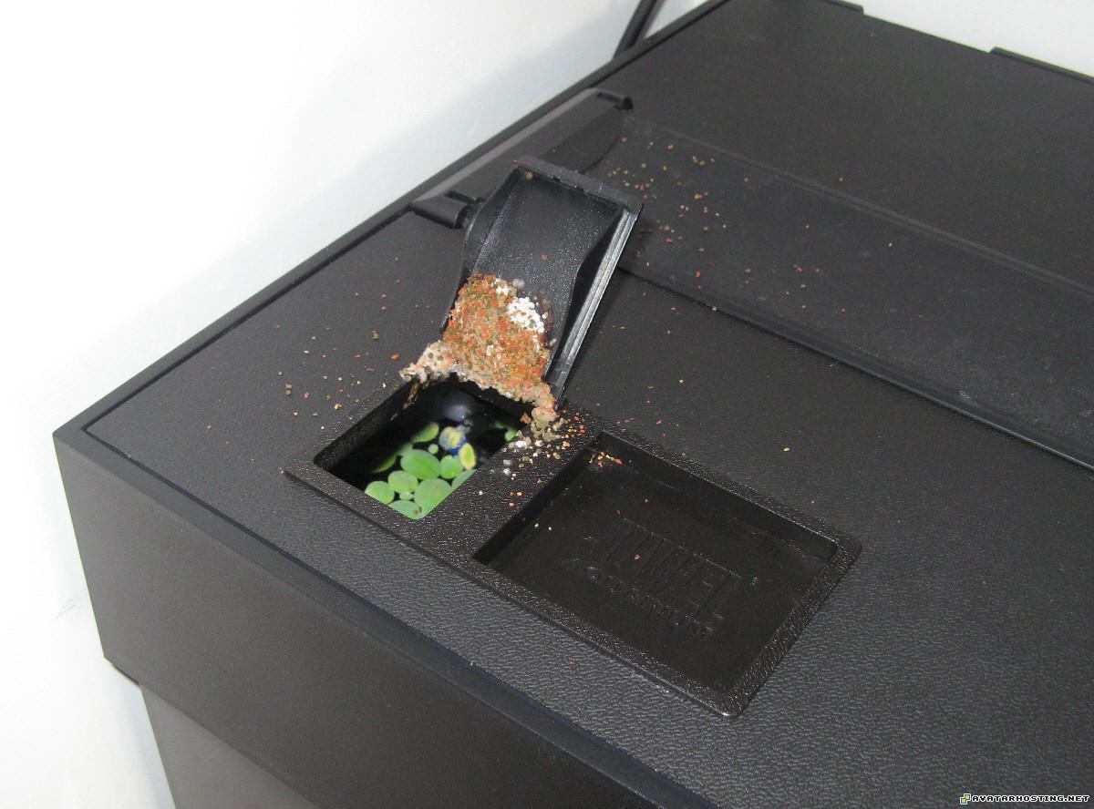 avatar com 50x50 animated avatars fish1