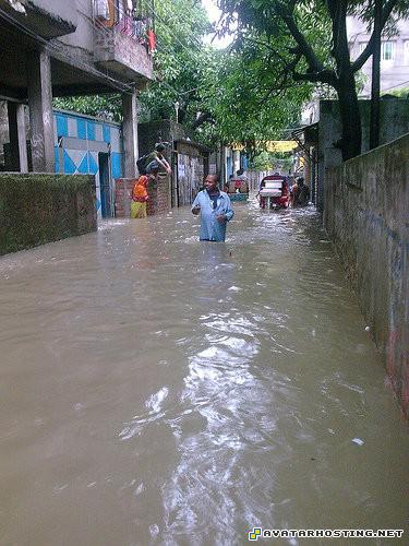 abstract oil paintings the avatar nickelodeon list of animals 1