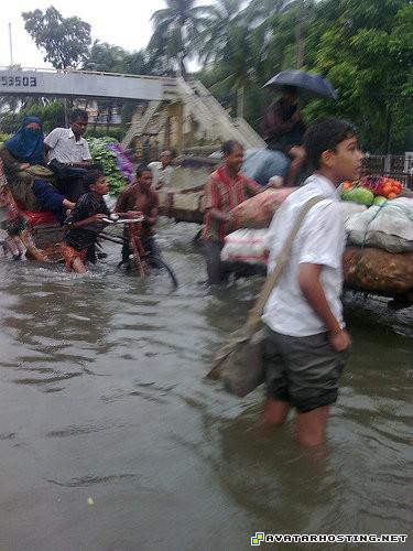 insect habitats degas print the avatar book 3 2