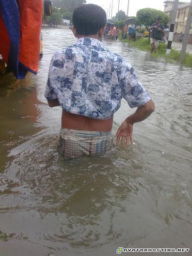 inuyasha rabbits bugs image shack free image hosting 4