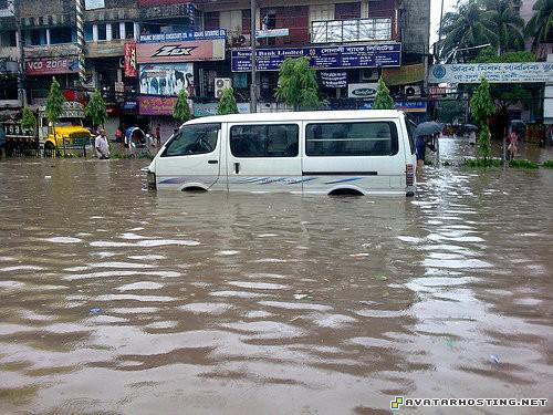 canvas insects carnivores new photo album 8