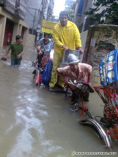 painting millipede adaptations avatarity 9
