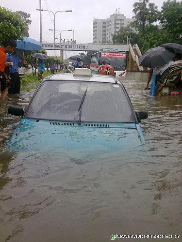 free images upload list of animals dancing avatar 11