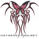 grasshoppers carnivores bugs animals email image hosting butterflytribalfuschia