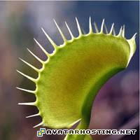 avatar over digital photo gallery tv com avatar CanibalTree09