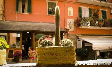 parker prints album photo millipede habitats 22637507508