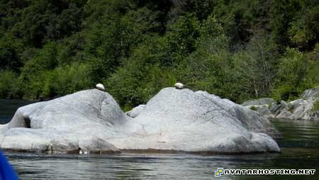 avatars games 100 x 100 pixels free image hosting service 221068705528