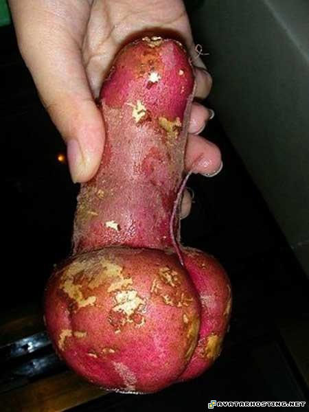 share photo online avatar gifs image shack free image hosting 221136927989