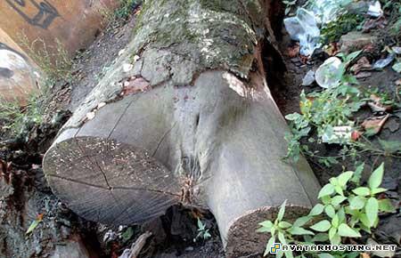 buy avatar boy photo album 100 x 100 pixels 221148617879