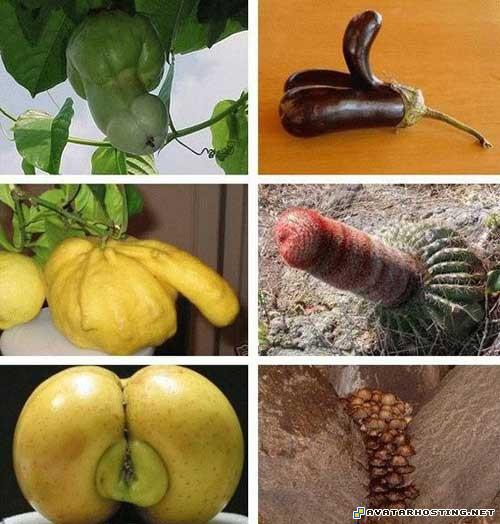 auction photo hosting free avatar free avatar 221543182375