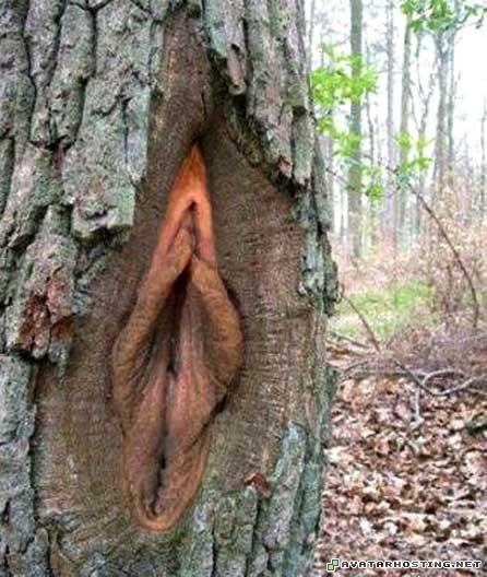 80x80 1 free image hosting service 222007387974