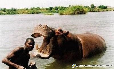 photo hosting service www image hosting avatar 3 16 0316041347