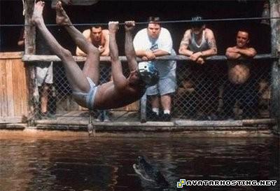 tv com avatar avatara avatar book 3 0321836126