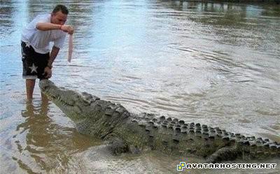 moving avatars 100x100 photo album picture 03624389023