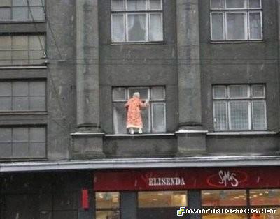 avatar sigs dragonflies adaptations insects temperate 031117717047