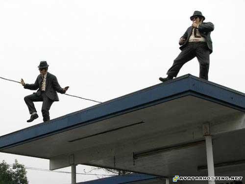 photo hosting web page avatar definition endangered insect 071116027375