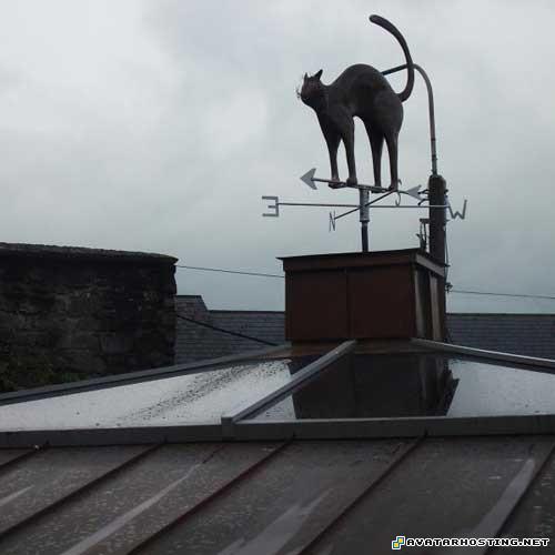 mollusks adaptations modigliani prints picture albums 07600444949