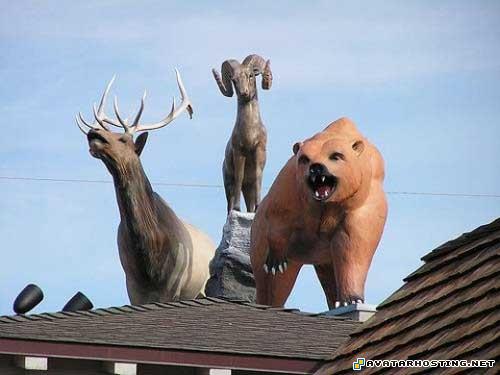 bosca photo album sigs avatar mens cologne 0774431076