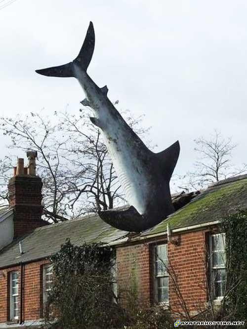 100 x 100 pixels free animated avatars animated avatar 07454115658