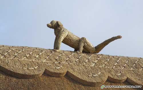 avatar book 2 avatar book 1 avatar cheats 07633334192