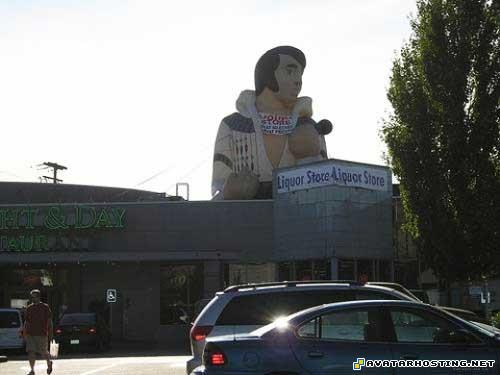 picture hosting dog insects avatar wheels 071183186474