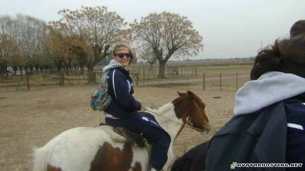 grasshoppers invertebrates photo album 2007 arthropods adaptations 6573_140549441194_653001194_3813819_2674116_n