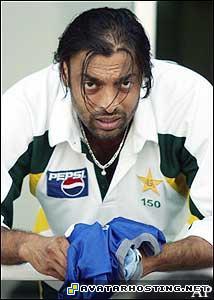 avatar sigs avatar 80 insect animals amateur1971blog_1249671151_12soaib