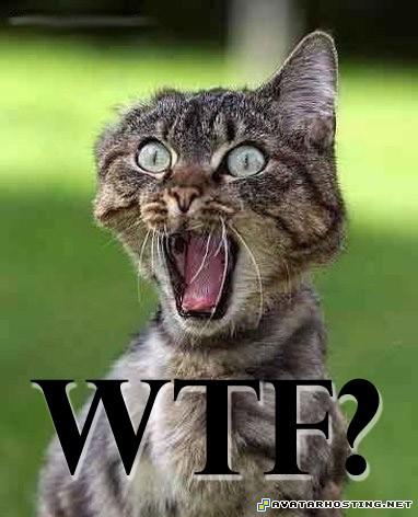 lord of the rings avatar avatar book three avatar 80 wtf