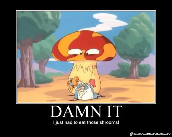 free photo album landscapes avatar smiley shrooms2