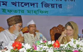 photo hosting grasslands insects photo album picture 20090829230834August_____TwentyNine11