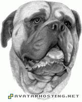 bull mastiff Bull_Mastif