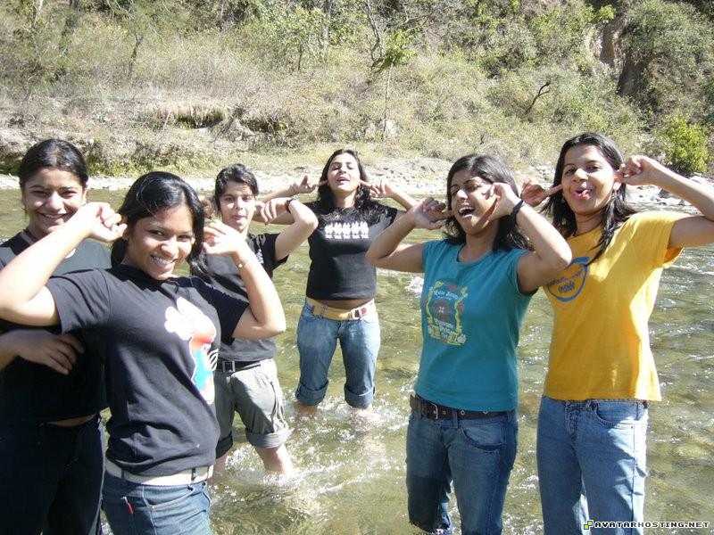 avatar website insects carnivores pests mammals mangos1382