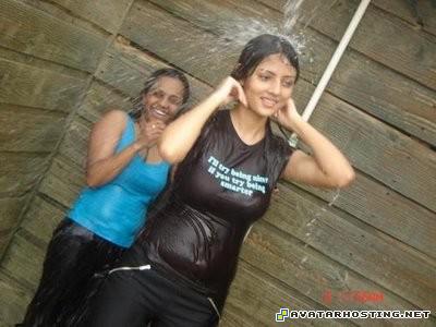 rainforests insects endangered arthropods oil paintings 58461838wl1