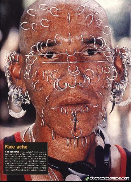 moths species insects species avatar image face_ache_big