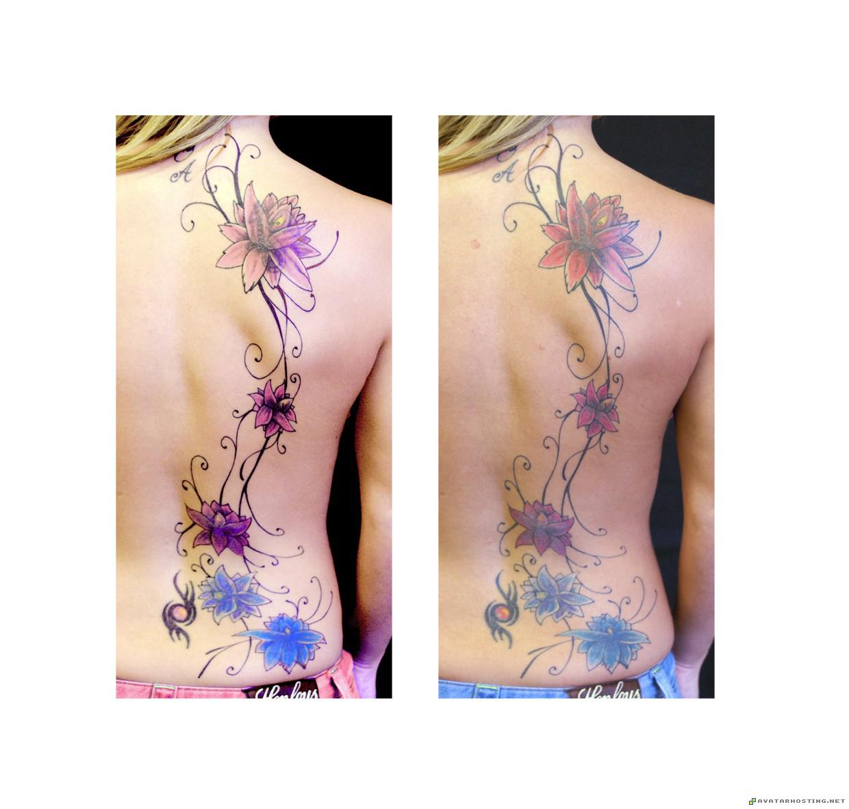 avitars insects adaptations modigliani prints kazza