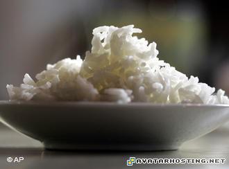 insects temperate lord of the rings avatar ladybugs species 03291730_400