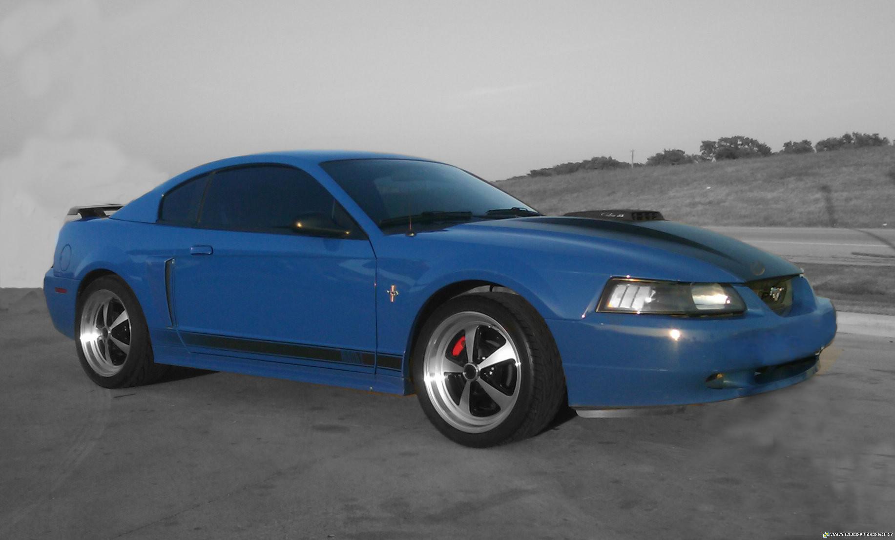 mach 1 mustang 2003 azure blue mymustang