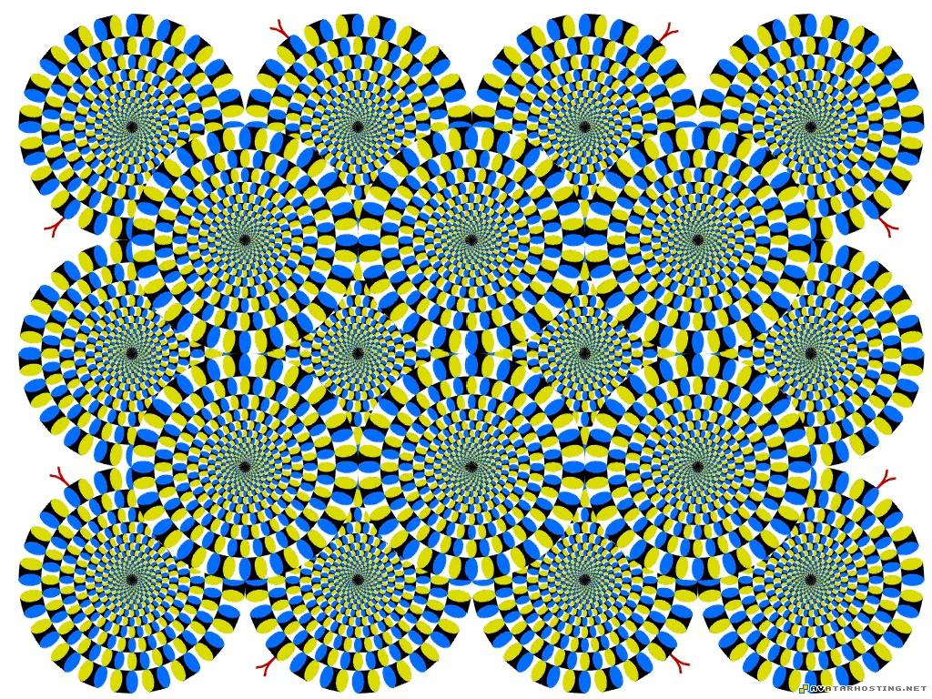 avatar url best avatar 80 x 80 opticalillusion