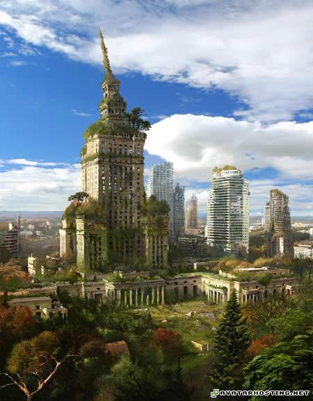 naruto avatar crickets animals avatar nation focuspoland_warsawwithoutus