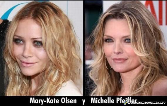 insects invertebrates video hosting service free image hosting russian 09