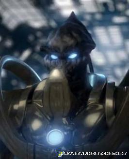 arthropods species biomes insects canvas prints altarisavatar