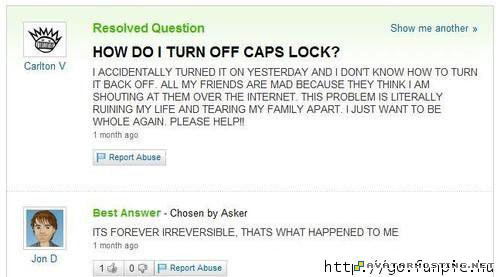 free video avatars image hosting software grasslands insects 00037059