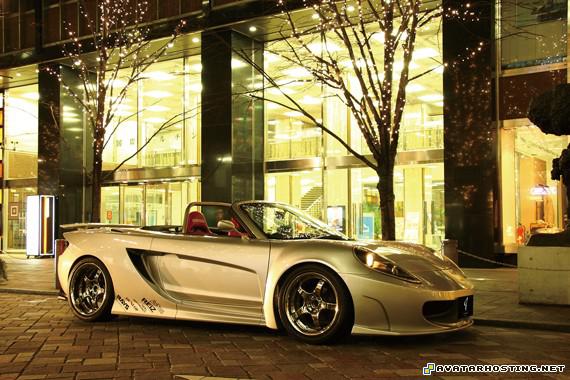 still life paintings new avatars beetles dog abflug