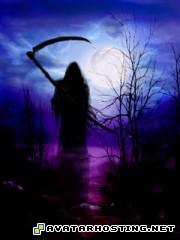 photo hosting service drawings tim prints wall531