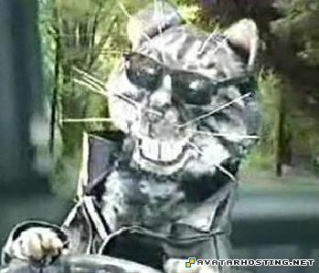 dark avatar deutsch corporate art professional photo album tooncinator