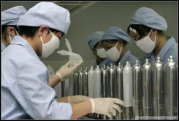 sigs free hosting deciduous insects 1