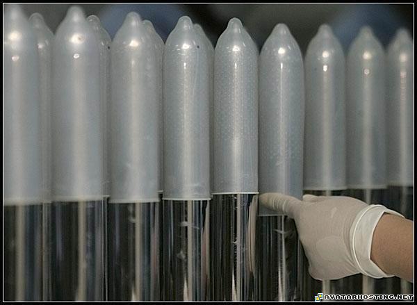 auction photo hosting 100x100 avatar arthropods adaptations 5