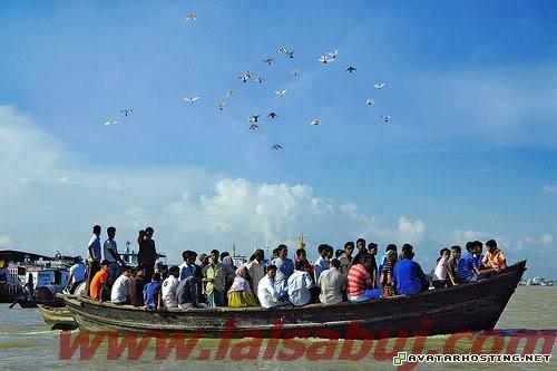 large photo hosting avatar maker crickets habitats untitled5