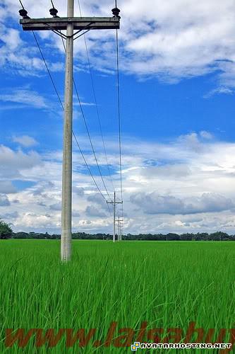 avatar book 3 volume 4 ebay picture hosting photo gallery untitled15