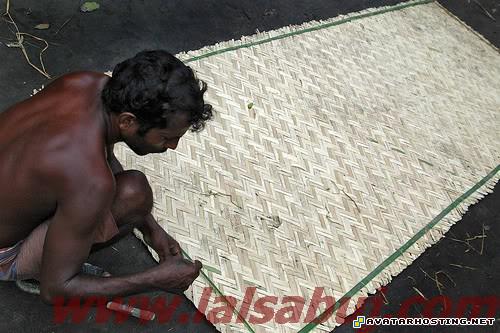 crustaceans invertebrates avatar rpg grasshoppers species untitled17